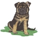 German Shepherd Puppy