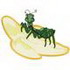 Mantis & Banana Applique