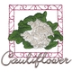 Cauliflower