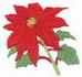 Poinsettia