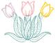 Tulips