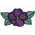 Petunia