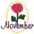 November - Chrysanthemum