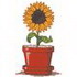 Sunflower In Pot