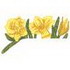 Daffodils Pocket Topper