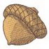 Acorn