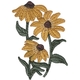 Black-eyed Susan