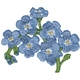 Forget-me-not