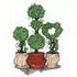 Topiaries