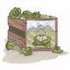Lettuce Crate