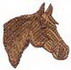 Quarter Horse Head