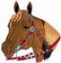 Quarter Horse W/reins