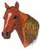 Saddlebred Head