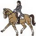 Women's Dressage