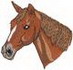 Paso Fino