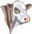 Simmental