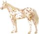 Appaloosa