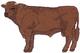 Shorthorn Hereford