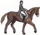 Dressage