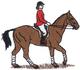 English Horse & Rider