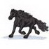 Friesian Horse