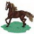 Saddlebred Horse In Motion