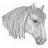 Percheron