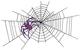 Spider W/web