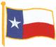 Texas Flag