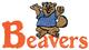 Beavers