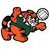 Tiger Volleyball