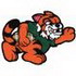 Tiger Football