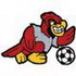 Cardinal Soccer