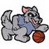 Wolf Basketball