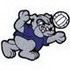 Bulldog Volleyball