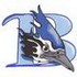 Bluejay