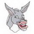 Donkey/ Mule