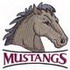 Mustangs