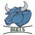 Bulls