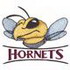 Hornets