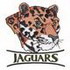 Jaguars