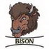 Bison