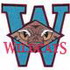 Wildcats Applique