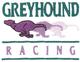 Greyhound Racing