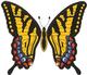 Tiger Swallowtail Applique
