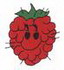 Raspberry
