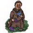Franciscan Padre