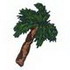 Palm Tree