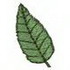 Leaf #3