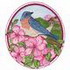 Spring Bird Scene